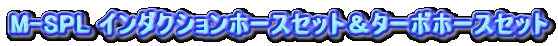 M-SPL C_NVz[XZbg^[{z[XZbg
